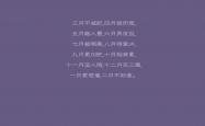 开云体育登录-橙色风暴席卷2026，那场让世界闭嘴的黑马之战