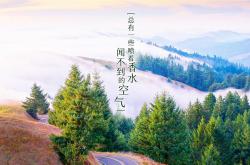 开云sport-2026世界杯B组焦点战，厄瓜多尔高原风暴席卷波兰，吉鲁独造三球上演经典战役
