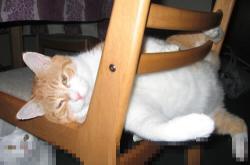 开云体育平台APP-冰与火之歌，逆转之夜与统治之力