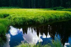 开云体育官网-平行赛场，当字母哥穿上深圳队球衣