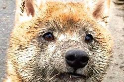 开云体育登录-瑞士爆冷击败塞维利亚，奥利维耶点燃全场激情