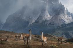 开云体育中国-双城记，冰场上的铁血军团与羽球场上的孤胆英雄