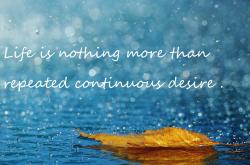 开云体育登录-同一夜，篮球世界的奇妙共振