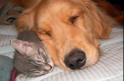 开云体育官网-唯一性的双重奏，尼克斯绝杀步行者与爱德华兹2026世界杯的传奇接管