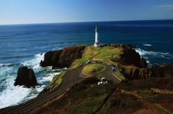 开云体育在线-雄鹿击溃浙江队，克莱末节狂飙成关键先生