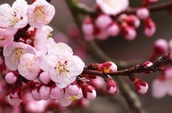 开云体育中国-血脉与虹膜，当霍勒迪在旧主面前定义唯一性