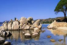 开云体育APP下载-钢铁之膝与烈日逆转，当桃田贤斗的关键一分焚尽韩国寒流