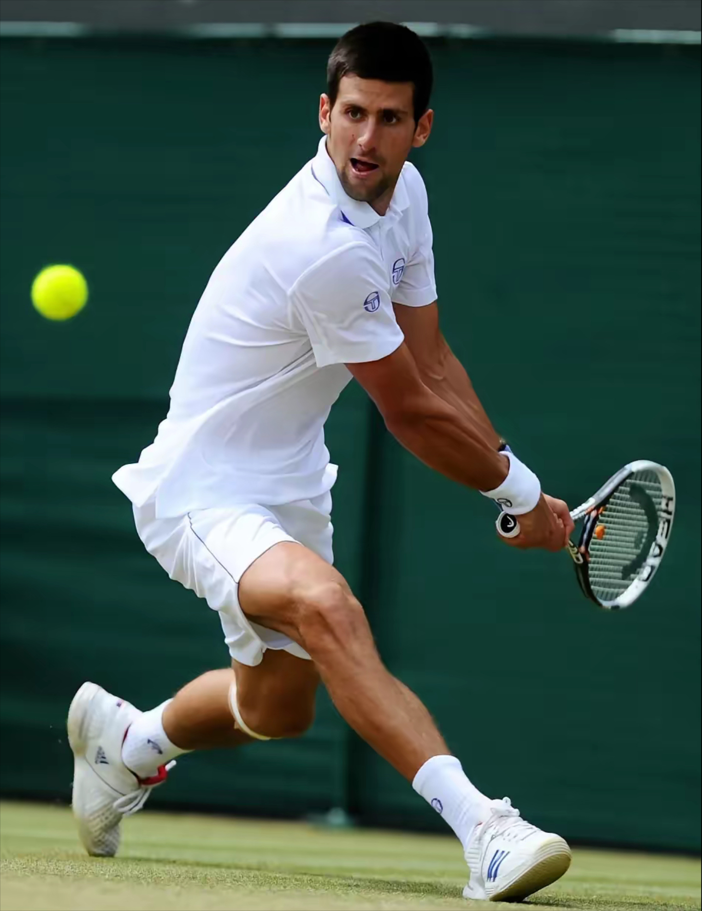 包含意大利网球队绝地反击法国网球队，德约科维奇统治全场的词条