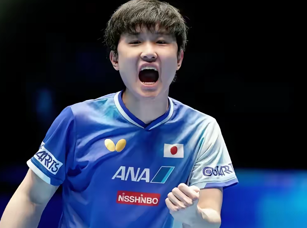 法国乒乓球队强势比利时乒乓球队，张本智和高光表现的简单介绍