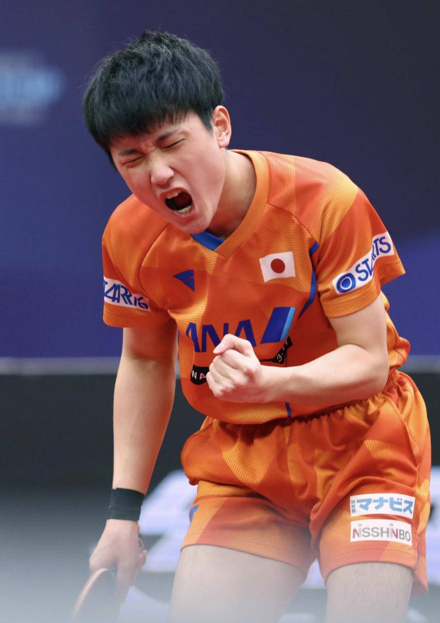 法国乒乓球队强势比利时乒乓球队，张本智和高光表现的简单介绍