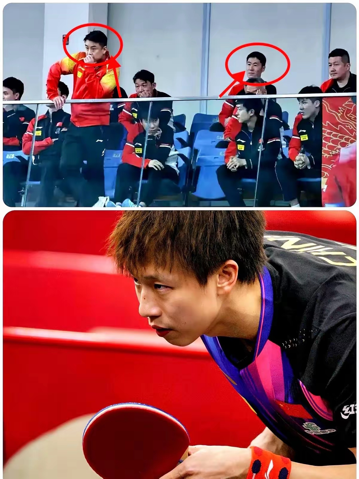 包含韩国乒乓球队绝杀英国乒乓球队，王皓制霸全场的词条