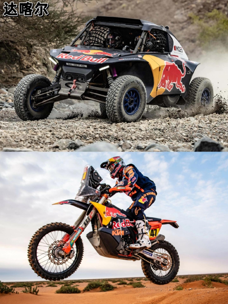 关于红牛二队完胜红牛车队,阿隆索状态火热的信息 关于红牛二队完胜红牛车队,阿隆索状态火热的信息