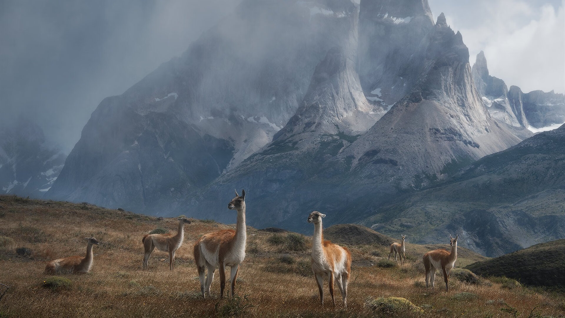 双城记，冰场上的铁血军团与羽球场上的孤胆英雄