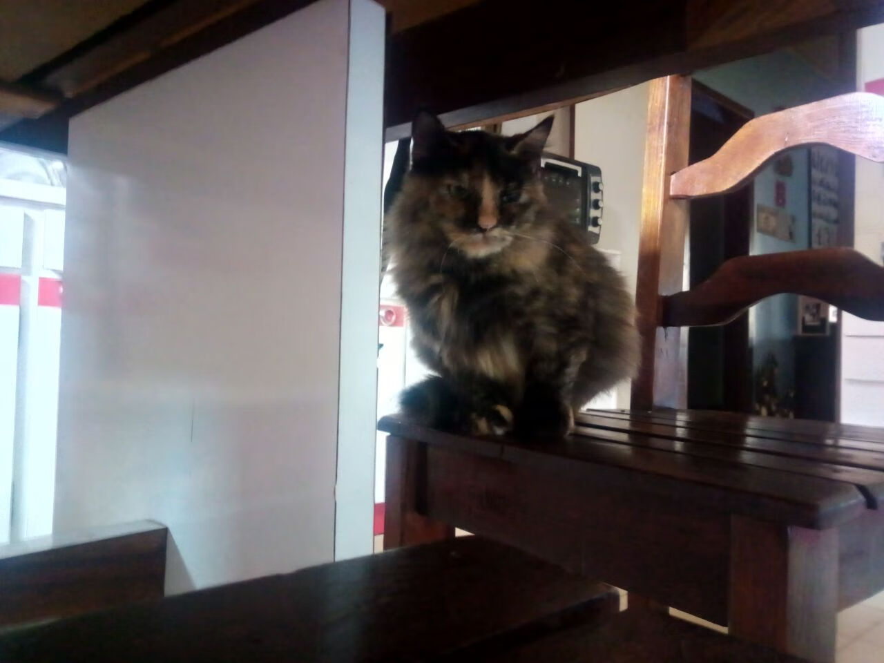 双星映天山!雷霆险胜新疆队之夜,孙铭徽刷新纪录燃爆绝杀时刻