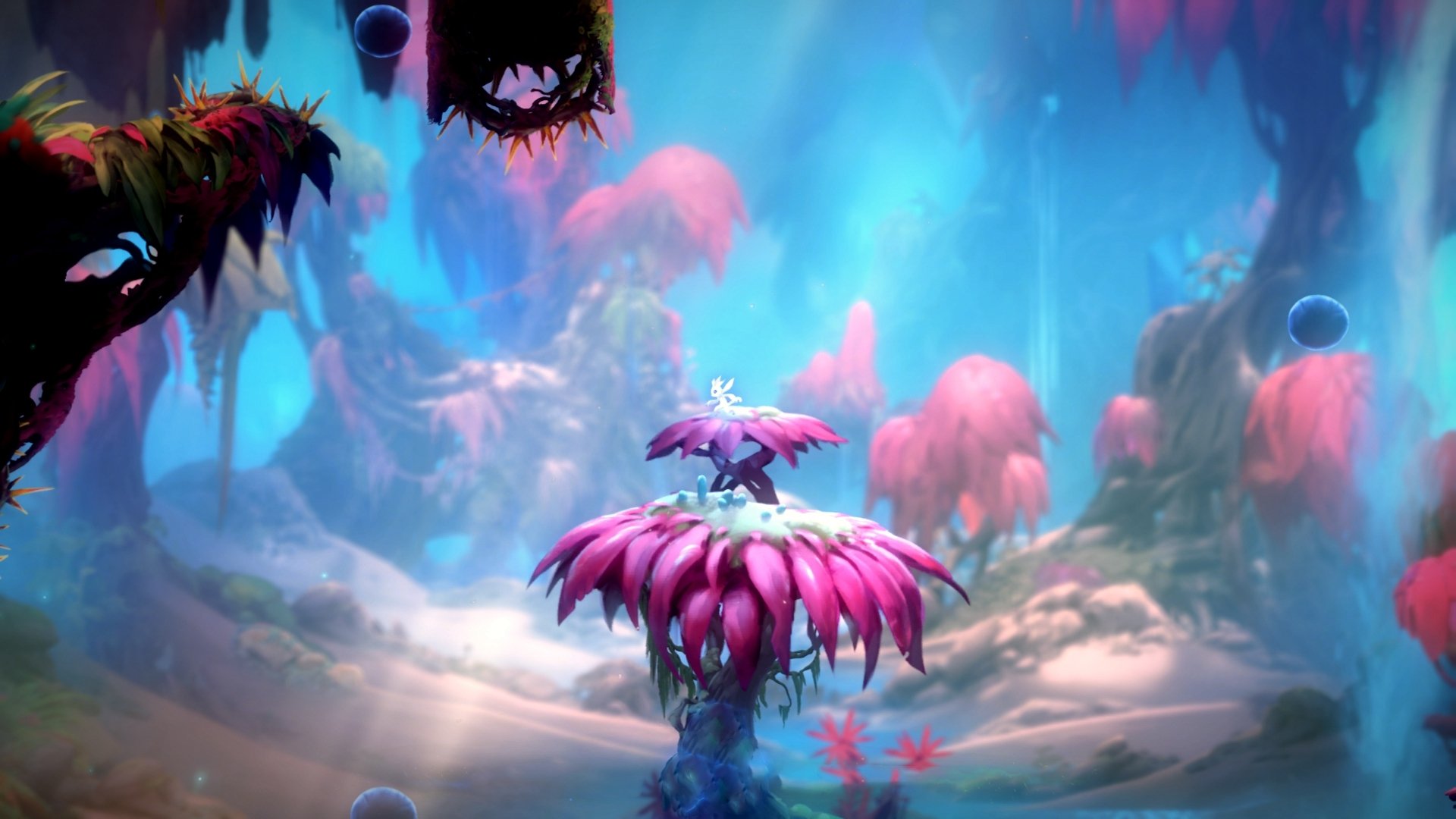 锋芒初露！鹈鹕新星米切尔在焦点新星之争中证明身价