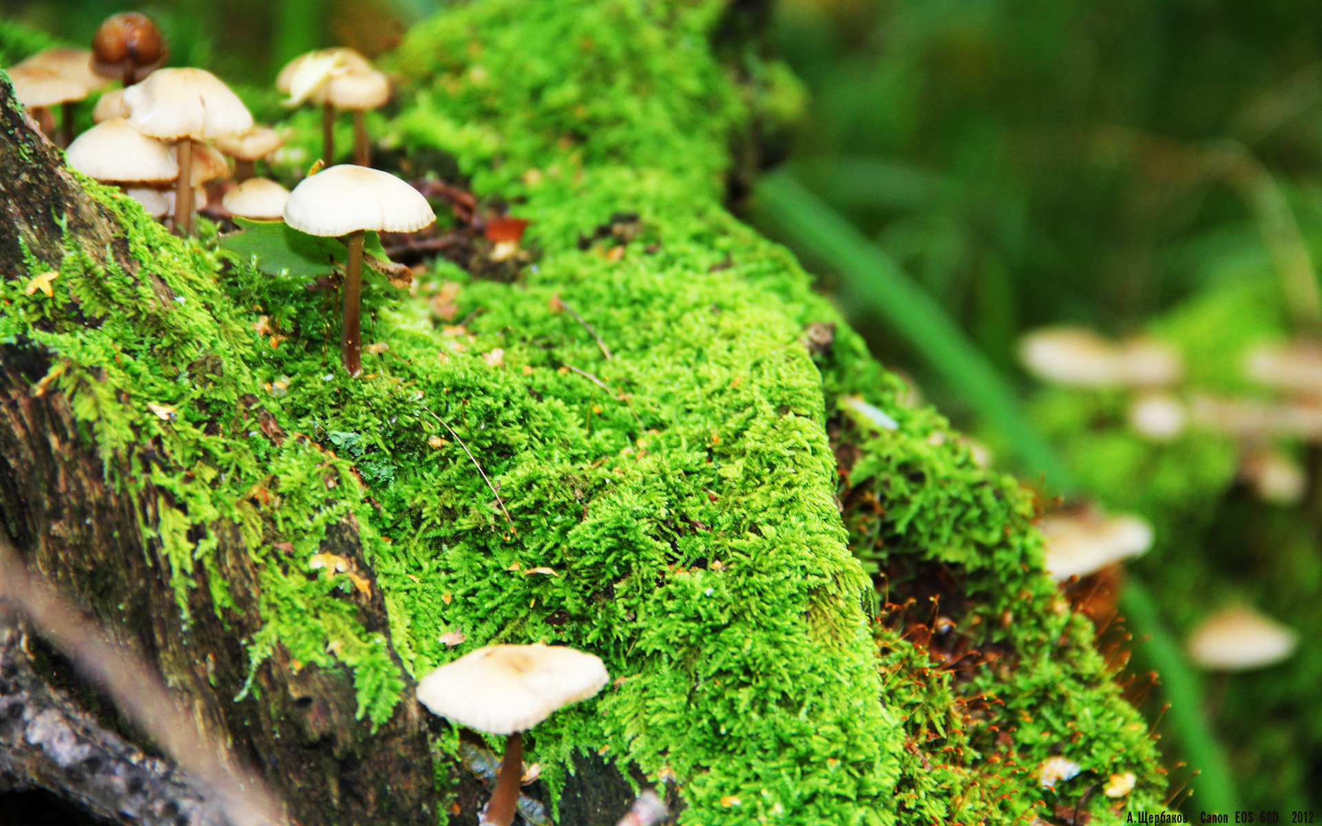 欧冠烽火夜,费城篮球场奏凯歌