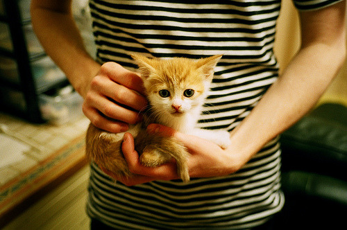 秩序打破者,当牙买加冲垮丹麦防线,与基耶萨接管欧冠之夜