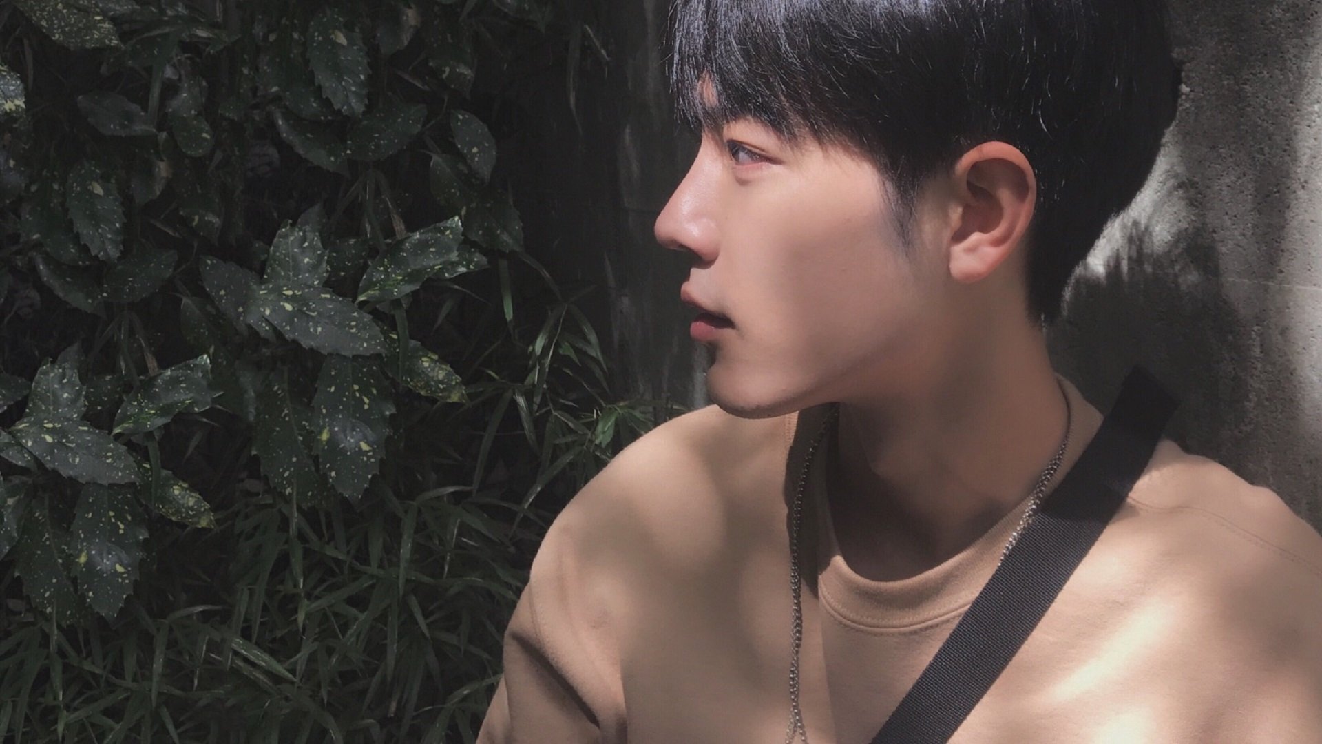 夜幕下的征服者，浙江男篮与F1赛车手的平行叙事