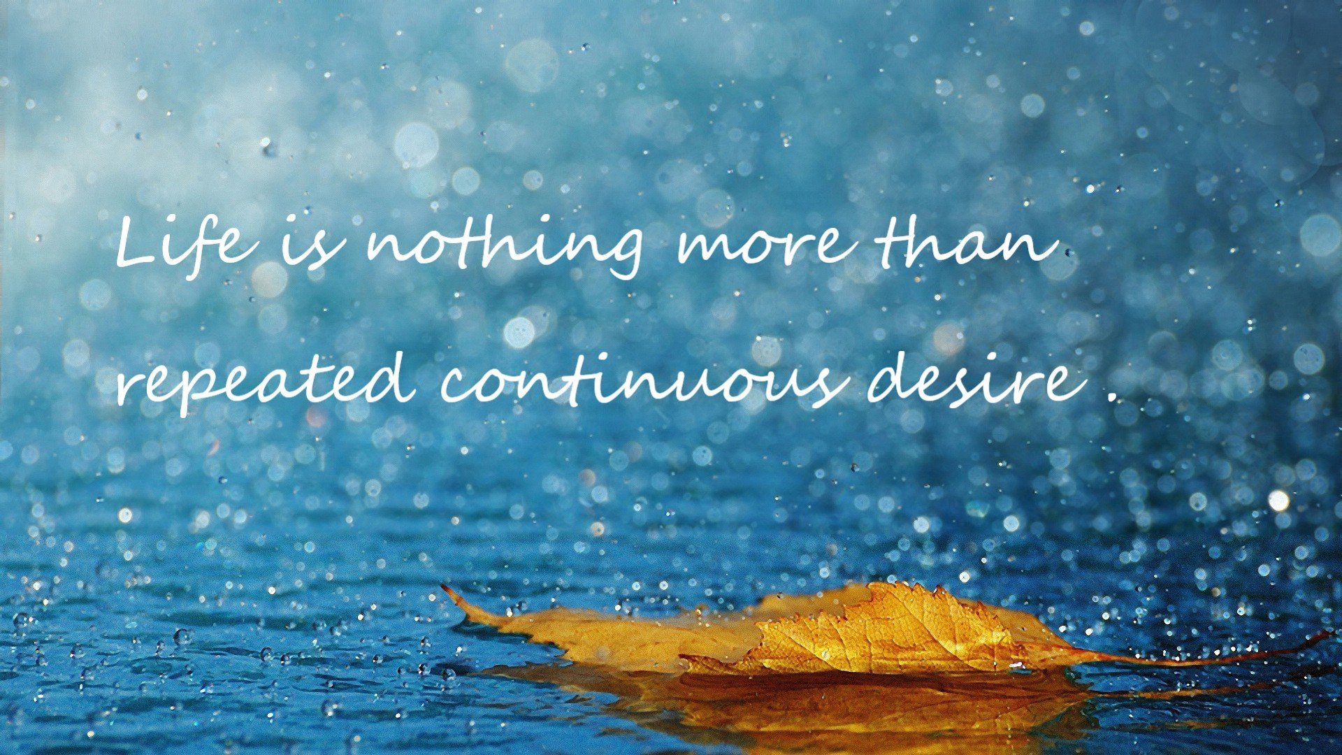 同一夜，篮球世界的奇妙共振