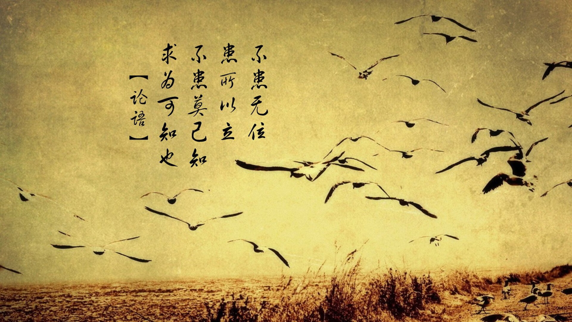 意甲焦点战夜,曼城加时鏖战擒获土耳其黑马