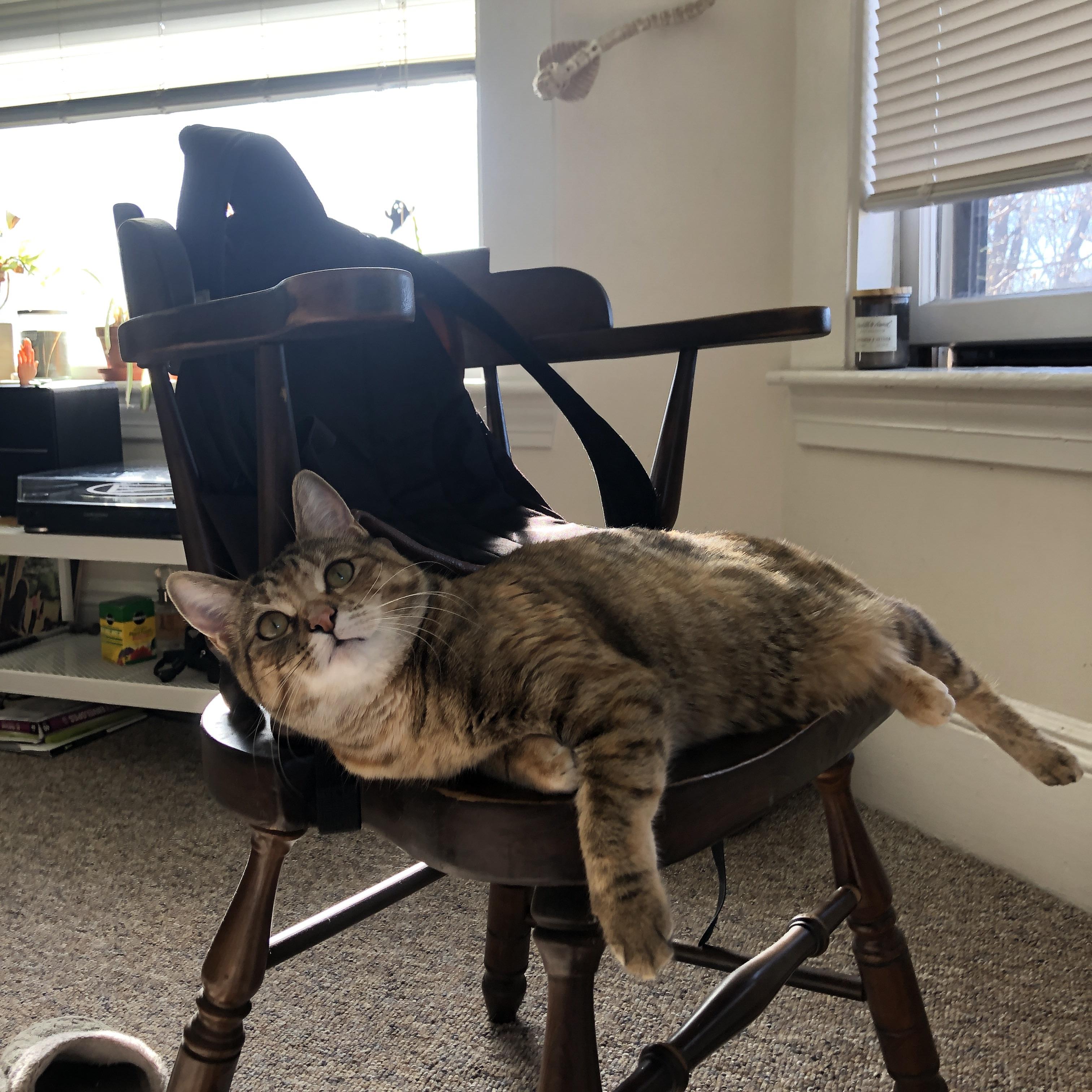 双星闪耀,格列兹曼的指挥艺术与秘鲁的战术博弈