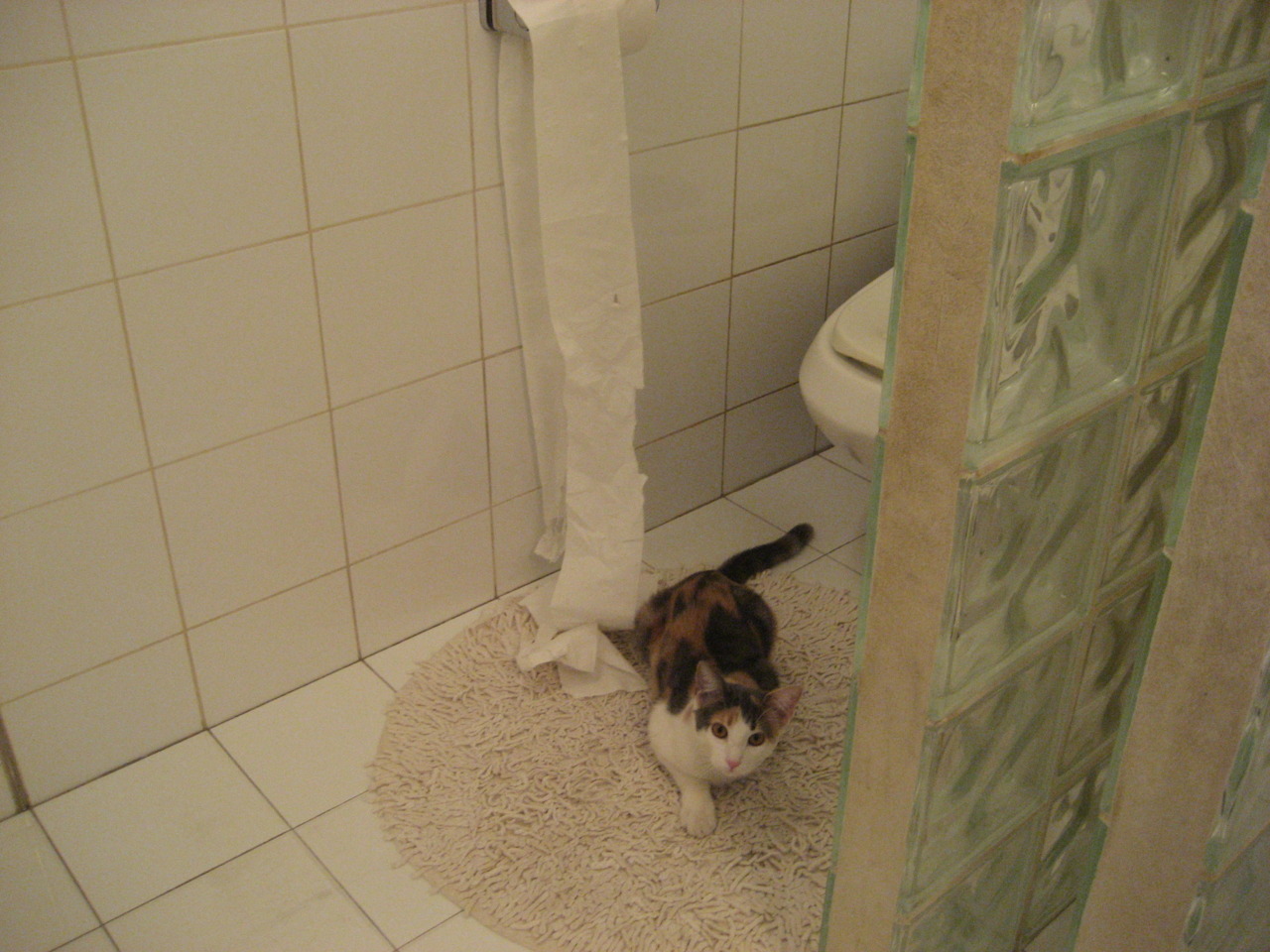 克瓦拉茨赫利亚魔笛奏绝唱,牙买加钢铁洪流强行终结喀麦隆残梦