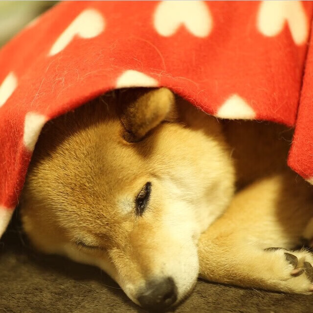 跨界奇迹，英格拉姆爆砍45分，深圳队末节翻盘NBA独行侠