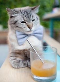 终结者,德罗赞冰封独行侠的连胜火焰