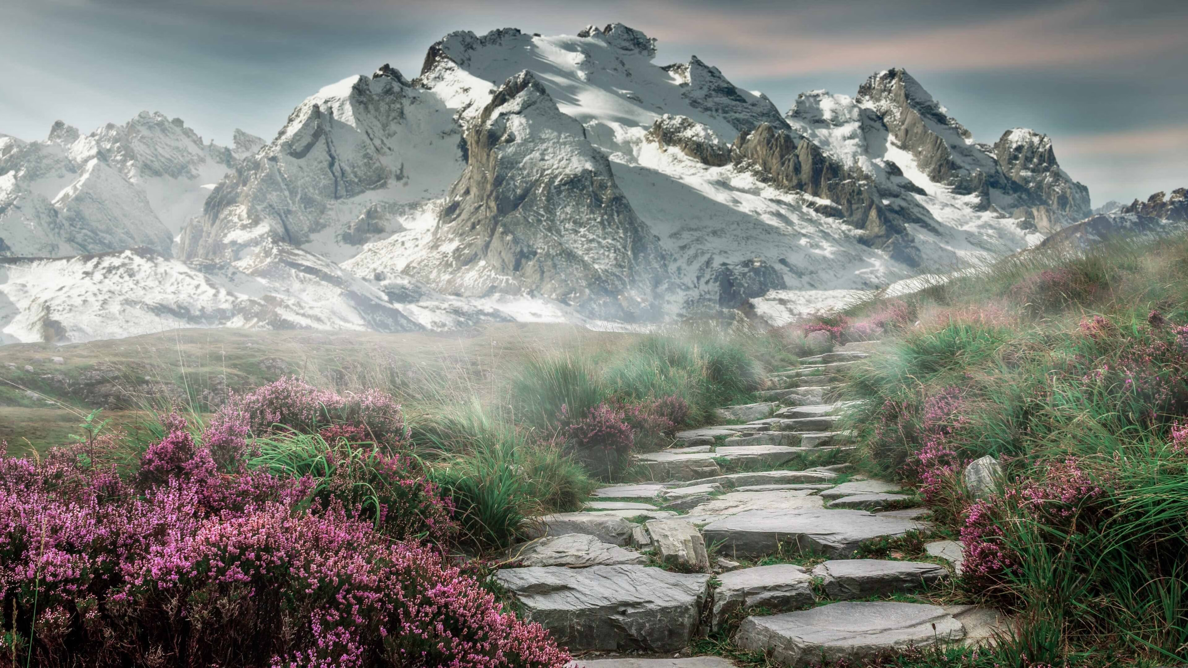 铁壁防守+闪电反击！尼日利亚终结巴西不败神话，阿坎吉百场建功