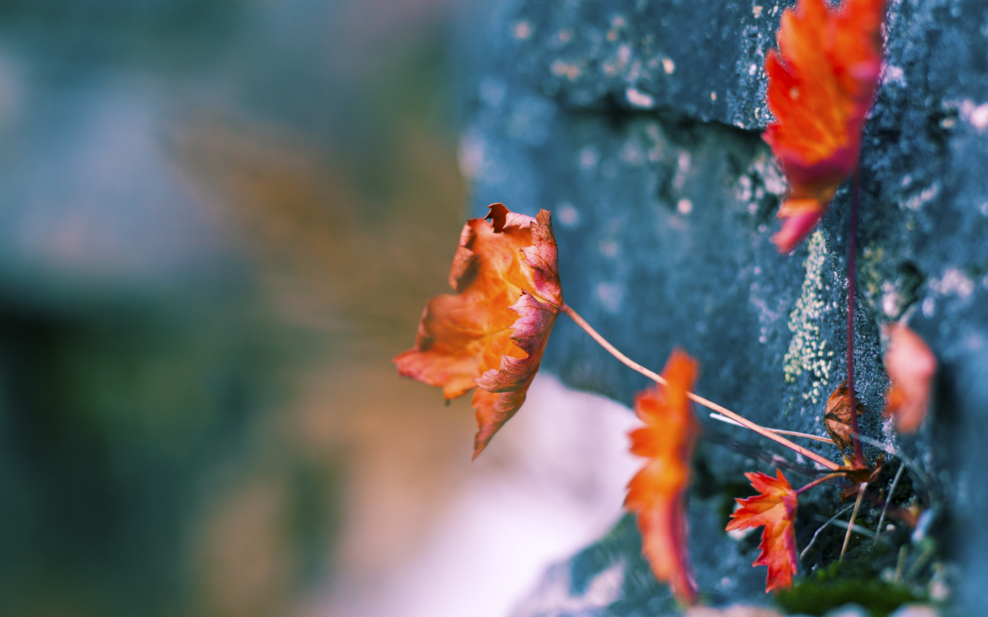 冰与火的赞歌,当北京的锁链缠上密尔沃基,凤凰城的烈焰焚尽丹佛