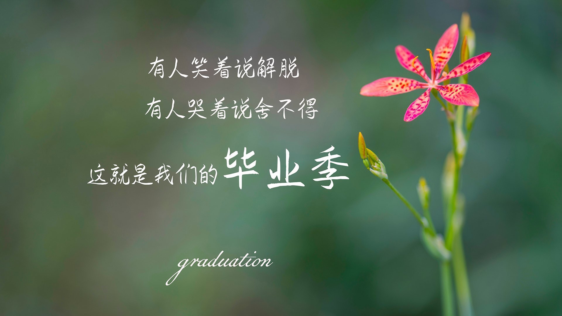 孤星耀世,2026世界杯A组焦点战,苏亚雷斯独舞难救主,印度绝地逆袭哥伦比亚